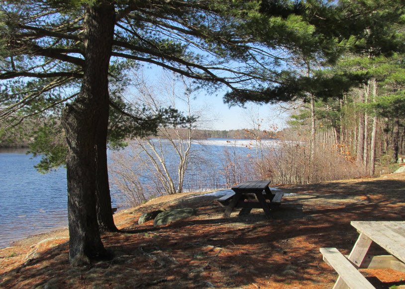 Ames Nowell State Park, Massachusetts, USA